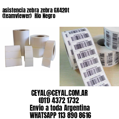 asistencia zebra zebra GX420t (teamviewer)  Rio Negro