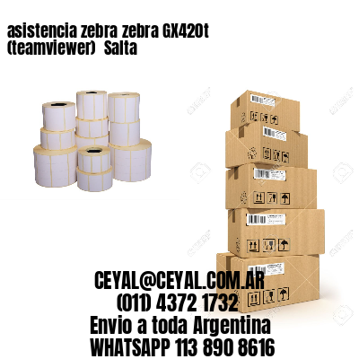 asistencia zebra zebra GX420t (teamviewer)  Salta