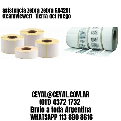 asistencia zebra zebra GX420t (teamviewer)  Tierra del Fuego