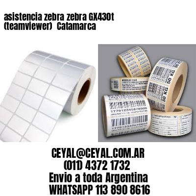 asistencia zebra zebra GX430t (teamviewer)  Catamarca