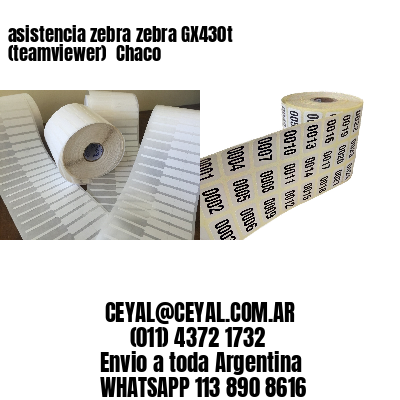 asistencia zebra zebra GX430t (teamviewer)  Chaco