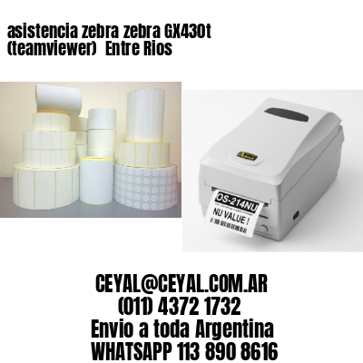 asistencia zebra zebra GX430t (teamviewer)  Entre Rios
