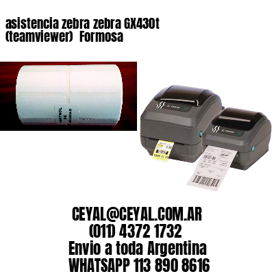 asistencia zebra zebra GX430t (teamviewer)  Formosa