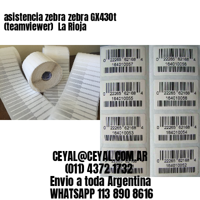 asistencia zebra zebra GX430t (teamviewer)  La Rioja