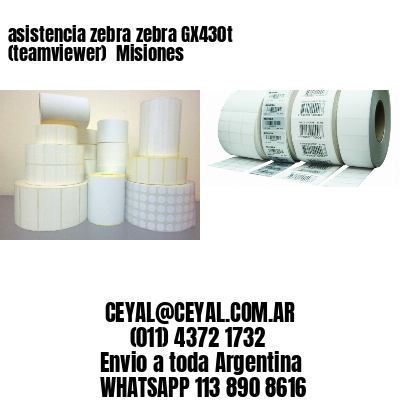 asistencia zebra zebra GX430t (teamviewer)  Misiones