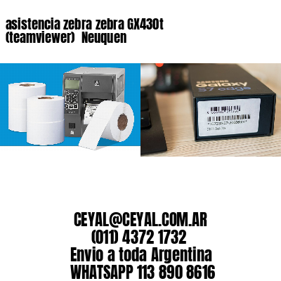 asistencia zebra zebra GX430t (teamviewer)  Neuquen