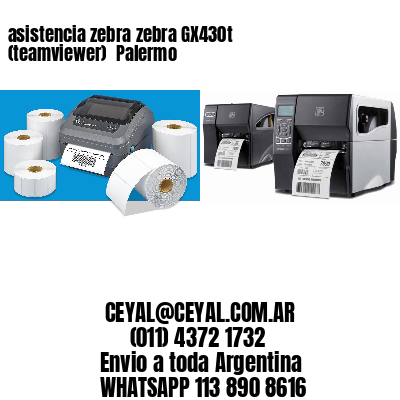 asistencia zebra zebra GX430t (teamviewer)  Palermo