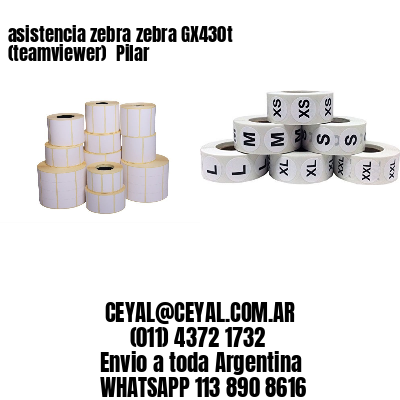 asistencia zebra zebra GX430t (teamviewer)  Pilar