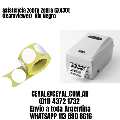 asistencia zebra zebra GX430t (teamviewer)  Rio Negro