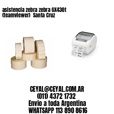 asistencia zebra zebra GX430t (teamviewer)  Santa Cruz