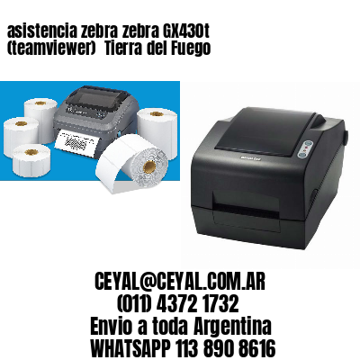 asistencia zebra zebra GX430t (teamviewer)  Tierra del Fuego