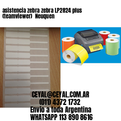 asistencia zebra zebra LP2824 plus (teamviewer)  Neuquen