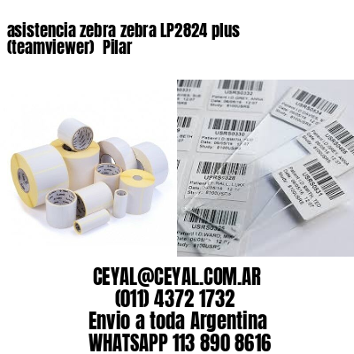 asistencia zebra zebra LP2824 plus (teamviewer)  Pilar