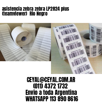 asistencia zebra zebra LP2824 plus (teamviewer)  Rio Negro