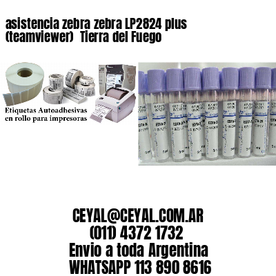 asistencia zebra zebra LP2824 plus (teamviewer)  Tierra del Fuego