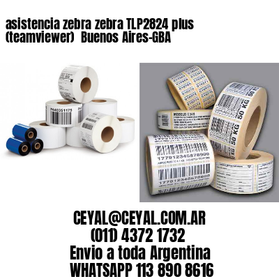 asistencia zebra zebra TLP2824 plus (teamviewer)  Buenos Aires-GBA