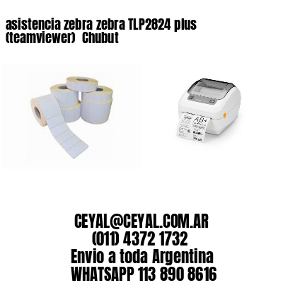 asistencia zebra zebra TLP2824 plus (teamviewer)  Chubut