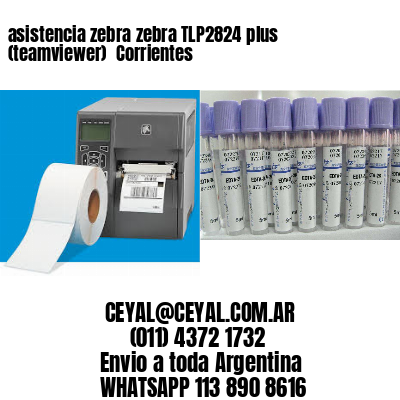 asistencia zebra zebra TLP2824 plus (teamviewer)  Corrientes