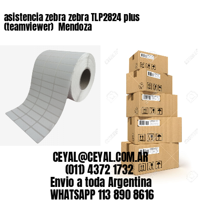 asistencia zebra zebra TLP2824 plus (teamviewer)  Mendoza