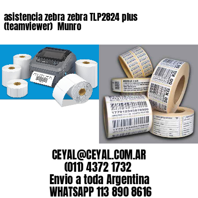 asistencia zebra zebra TLP2824 plus (teamviewer)  Munro