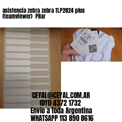 asistencia zebra zebra TLP2824 plus (teamviewer)  Pilar