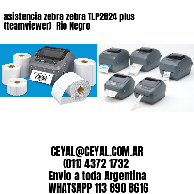 asistencia zebra zebra TLP2824 plus (teamviewer)  Rio Negro