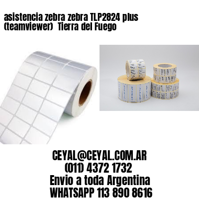 asistencia zebra zebra TLP2824 plus (teamviewer)  Tierra del Fuego