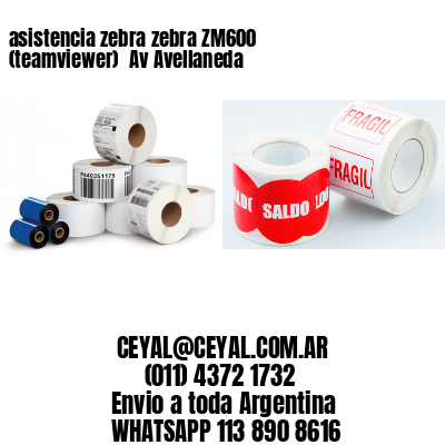 asistencia zebra zebra ZM600 (teamviewer)  Av Avellaneda
