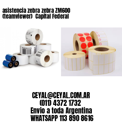 asistencia zebra zebra ZM600 (teamviewer)  Capital Federal