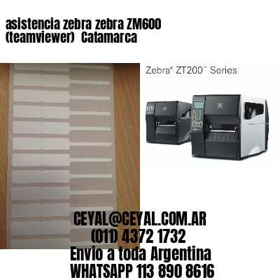 asistencia zebra zebra ZM600 (teamviewer)  Catamarca