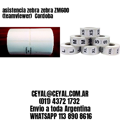 asistencia zebra zebra ZM600 (teamviewer)  Cordoba