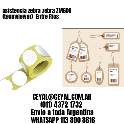 asistencia zebra zebra ZM600 (teamviewer)  Entre Rios