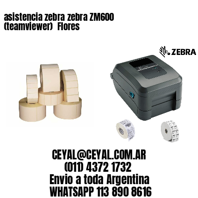 asistencia zebra zebra ZM600 (teamviewer)  Flores