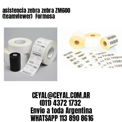 asistencia zebra zebra ZM600 (teamviewer)  Formosa