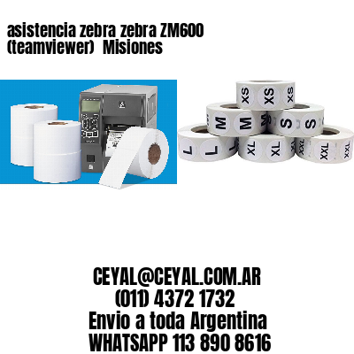 asistencia zebra zebra ZM600 (teamviewer)  Misiones