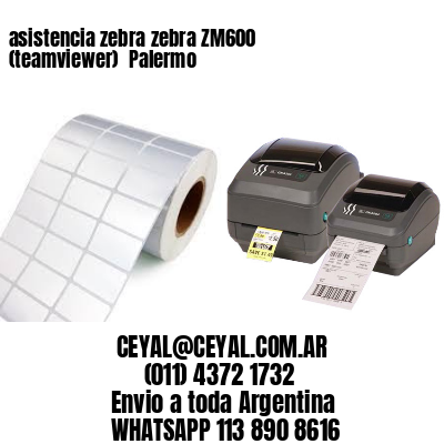 asistencia zebra zebra ZM600 (teamviewer)  Palermo