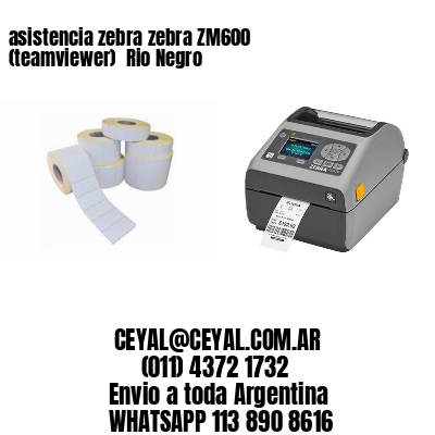 asistencia zebra zebra ZM600 (teamviewer)  Rio Negro
