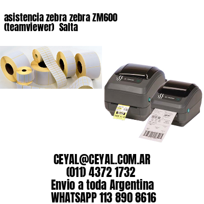 asistencia zebra zebra ZM600 (teamviewer)  Salta