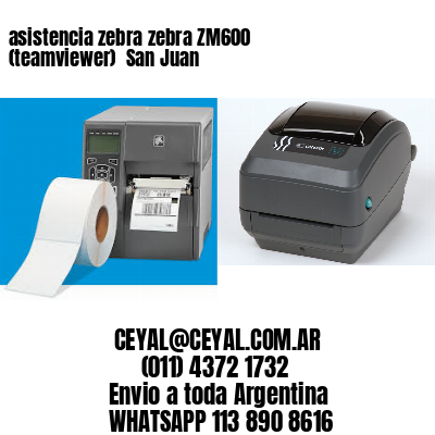 asistencia zebra zebra ZM600 (teamviewer)  San Juan