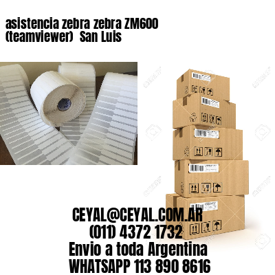 asistencia zebra zebra ZM600 (teamviewer)  San Luis