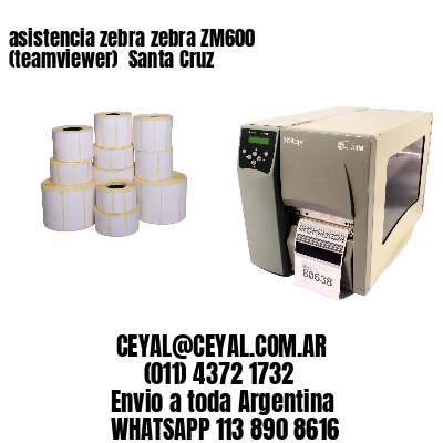 asistencia zebra zebra ZM600 (teamviewer)  Santa Cruz