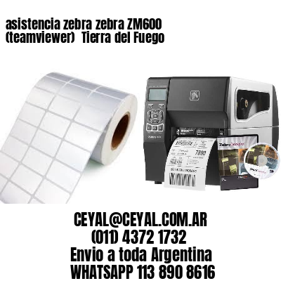 asistencia zebra zebra ZM600 (teamviewer)  Tierra del Fuego