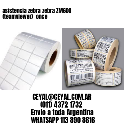 asistencia zebra zebra ZM600 (teamviewer)  once