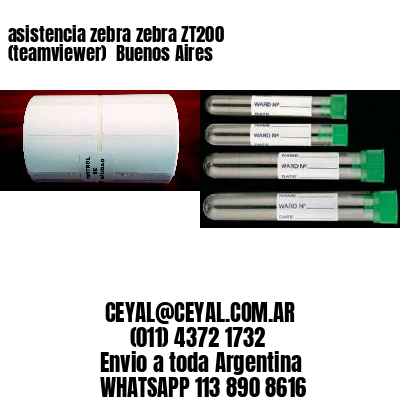 asistencia zebra zebra ZT200 (teamviewer)  Buenos Aires
