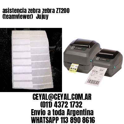 asistencia zebra zebra ZT200 (teamviewer)  Jujuy