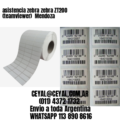 asistencia zebra zebra ZT200 (teamviewer)  Mendoza