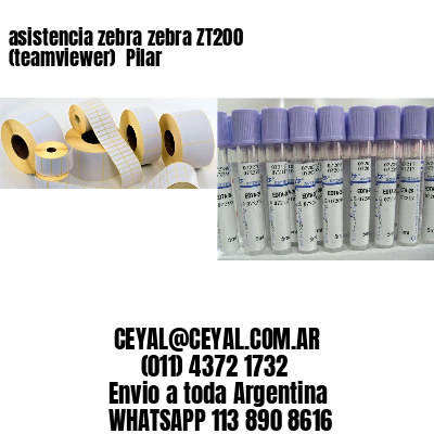 asistencia zebra zebra ZT200 (teamviewer)  Pilar