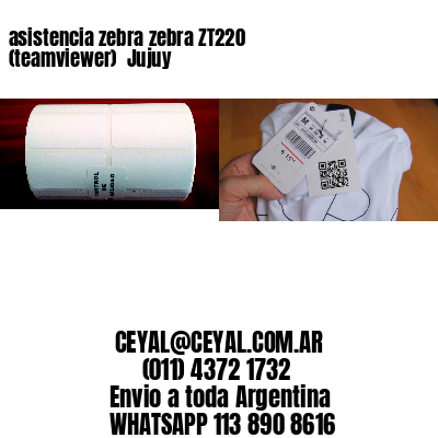 asistencia zebra zebra ZT220 (teamviewer)  Jujuy