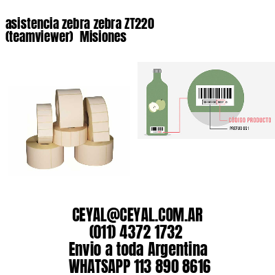 asistencia zebra zebra ZT220 (teamviewer)  Misiones