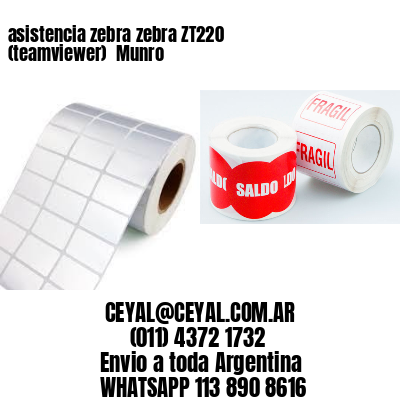 asistencia zebra zebra ZT220 (teamviewer)  Munro